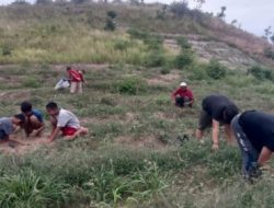 Puluhan Hektar Tanaman Bawang Merah di Tande Gagal Panen, Ini Sebabnya