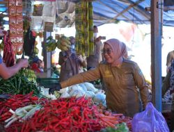 Jelang Lebaran, Harga Tomat di Mamuju Minta Ampun