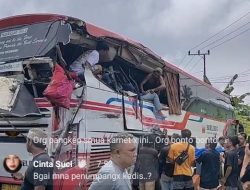 BreakingNews: Bus Borlindo Makassar Palu Tabrakan di Pasangkayu, Korban Berjatuhan