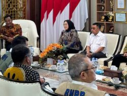 Dua Bupati Sulbar Difasilitasi Pj. Gubernur Menghadap ke BNPB Soal Dana Stimulan 2