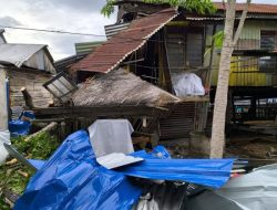 Tiga Rumah rusak tertimpa Pohon Tumbang akibat Angin kencang