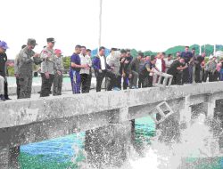 Seribu Karang Buatan Diturunkan Pj.Bahtiar Bersama Forkopimda di Teluk Mamuju