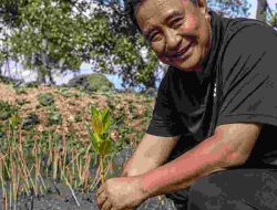 Pengaruh Pertanian dan Perikanan, Ekonomi Sulbar Triwulan 2024 Alami Pertumbuhan Pesat, Pj Bahtiar Optimis Program Swasembeda nya