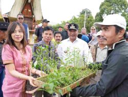 Tanam Pohon dan Saat Warga Tabang Serbu Pohon Gratis dari Pemprov Sulbar