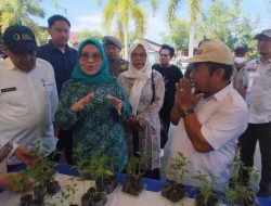 Ketua TP-PKK Sulbar: GPM Membantu Masyarakat Kurang Mampu, Kita Dukung Bersama