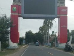 Videotron Seharga Rp 4,5 Miliar di Majene Mati, Tanah Negara Jadi Obyek Jual Beli