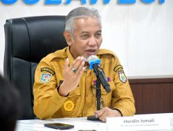 Tangkap Peluang Kenaikan Harga Kelapa, Disbun Sulbar: Tingkatkan Produksi dan Tambah Luas Areal Tanam