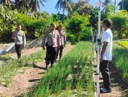 Wakapolres Majene Pimpin Penilaian Lomba P2B di Pekarangan Kelompok Tani Mosso Mande di Desa Limbua