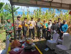 Kapolres Polman Hadiri Panen Raya Jagung Serentak Kuartal II Tahun 2025, Terhubung Langsung Secara Daring dengan Presiden RI