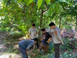 Bhabinkamtibmas Polsek Tinambung Selesaikan Masalah Batas Kebun Warganya dengan Problem Solving di Desa Lembang-lembang