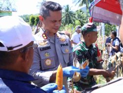 Kapolres Majene Hadiri Panen Raya Jagung Serentak Kuartal II dalam Rangka Mendukung Swasembada Pangan 2025