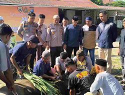 Polres Majene dan Bhayangkari Cabang Majene Sembelih Lima Ekor Sapi pada Idul Adha 1446 H