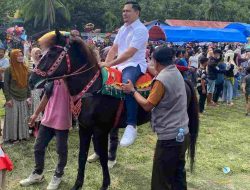 Ketua Komisi III DPRD Majene Hadiri Messawe To Tamma, Dimeriahkan Arak Arakan Sayyang Pattu’du