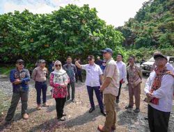 Gubernur SDK Gaet Dukungan Menteri Transmigrasi: Sulbar Siap Jadi Sentra Ekonomi Berbasis Kawasan Transmigrasi
