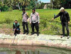 Tangis Bayi di Irigasi: Warga Tulung Rejo Geger, Mayat Bayi Perempuan Ditemukan Mengapung di Sawah