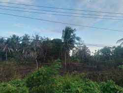 Api Lahap Lahan 2 Hektare di Balanipa, Polisi & Damkar Berpacu dengan Waktu