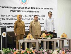 Review Aksi Stunting, Wagub Sulbar Tekankan Koordinasi dan Pendekatan Lapangan