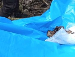 Kerangka Manusia Gegerkan Warga Polman, Diduga Tabori yang Hilang Sejak Agustus