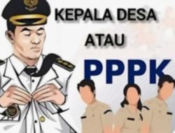 Kades Majene Lulus P3K: Ada yang Setia ke Warga, Ada yang Pilih Karier ASN