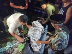 Tragis! Perempuan Ditemukan Tak Bernyawa di Ruko Pasar Tinambung, Diduga Alami Gangguan Jiwa