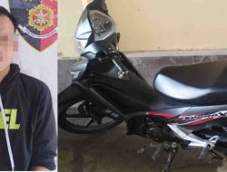 Resmob Polres Majene Bongkar Curanmor Lansia, Pelaku Akhirnya Menyerahkan Diri Usai Diburu Polisi