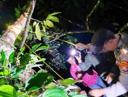 Tragedi di Perkebunan Durian: Warga Desa Pulliwa Ditemukan Tewas Tergantung, Polisi Selidiki Dugaan Bunuh Diri