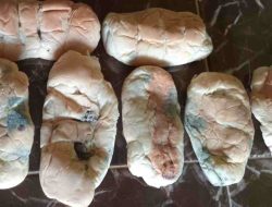 Babinsa Temukan 141 Bungkus Roti Berjamur & Salak Membusuk di Program MBG Majene, Diduga Akan Didistribusikan ke Siswa