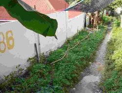 Jalan Setapak Puluhan Meter di Majene Terbiarkan Rusak – Warga: Janji DPRD Hanya Kostum Politik