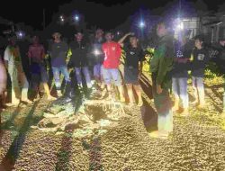 Perkelahian di Campalagian Berujung Pembakaran Motor, Polisi Amankan Terduga Pelaku