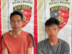 Kerjasama Masyarakat Berhasil! Tim Passaka Polres Majene Tangkap Dua Pelaku Pencurian Ternak, Sapi Dijual Rp8 Juta