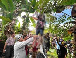 Tragedi di Bawah Rindang Kayu Colo: Misteri Hilangnya Nur Fadly Berakhir Memilukan di Atas Pohon