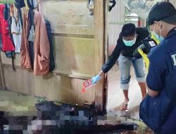 Tukang Ojek Tewas Membusuk di Rumah Sendiri di Polewali Mandar, Polisi: Tak Ada Tanda Kekerasan, Diduga Akibat Penyakit Kronis