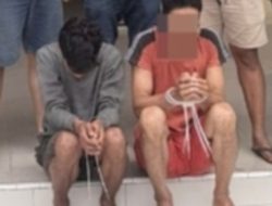 Membongkar Gurita Mafia Sapi Lintas Kabupaten: Peternak Kecil dalam Cengkeraman Jaringan Terorganisir