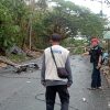 Hujan Intensitas Tinggi Disertai Angin Kencang di Mamuju, Pusdalops BPBD Sulbar Terima Informasi Pohon Tumbang di Dua Lokasi
