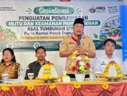 Dinas Pangan Sulbar Perkuat Pengawasan Keamanan Pangan Rantai Pasok MBG di Mamasa